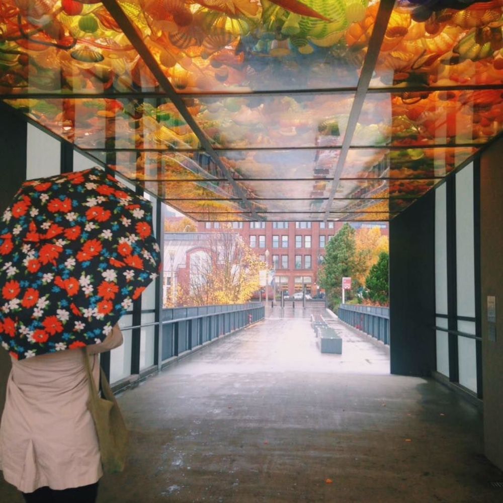 Meet your Posher, Timishia