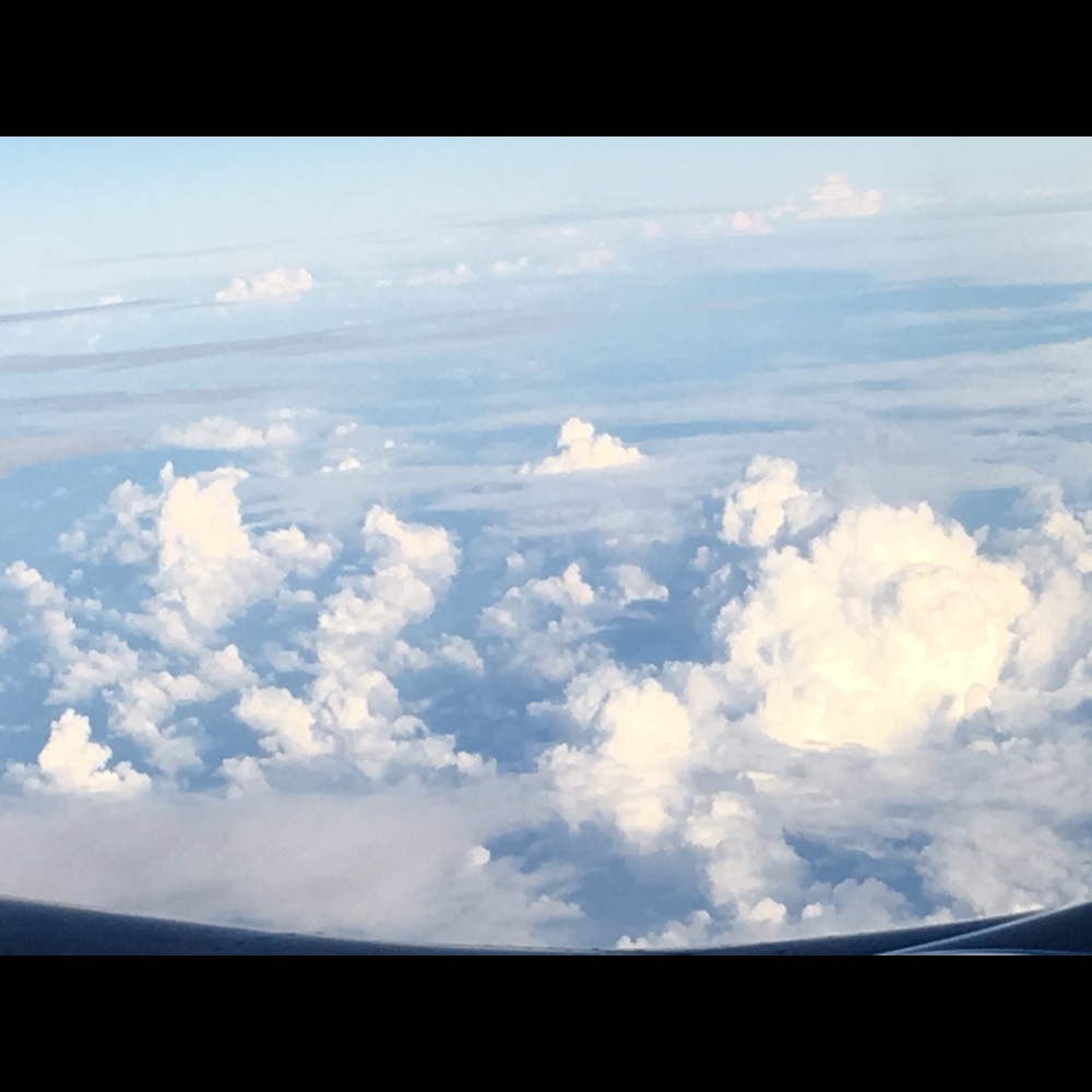 Meet your Posher, Ronny