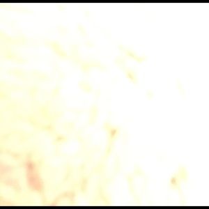 Meet your Posher, Franklin