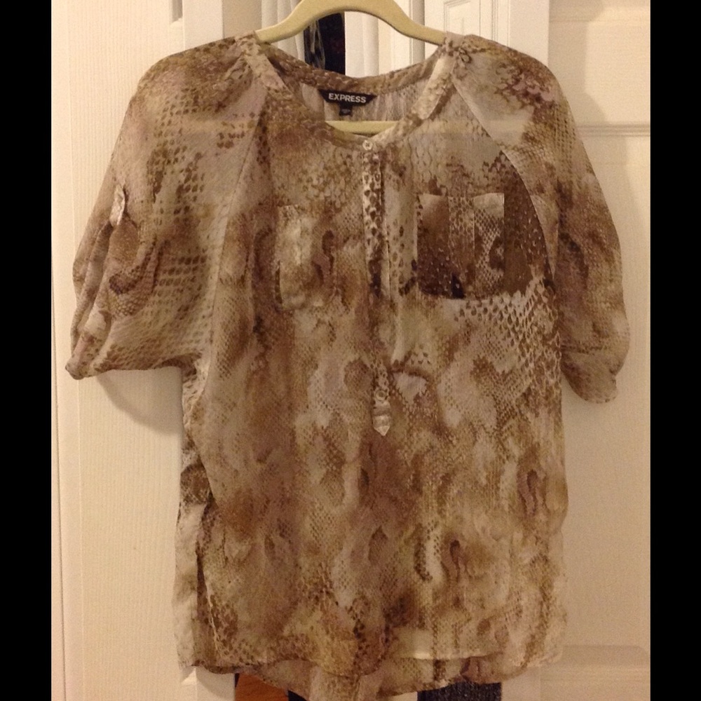 Oversized sheer blouse