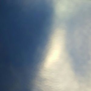 Meet your Posher, Bettie