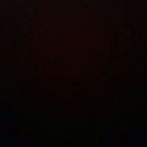 Meet your Posher, Reginald