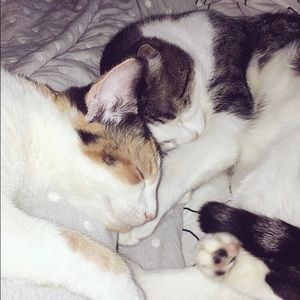 Meet your Posher, Emma