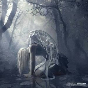 Meet your Posher, Holly