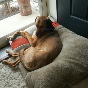 Meet your Posher, Marcie