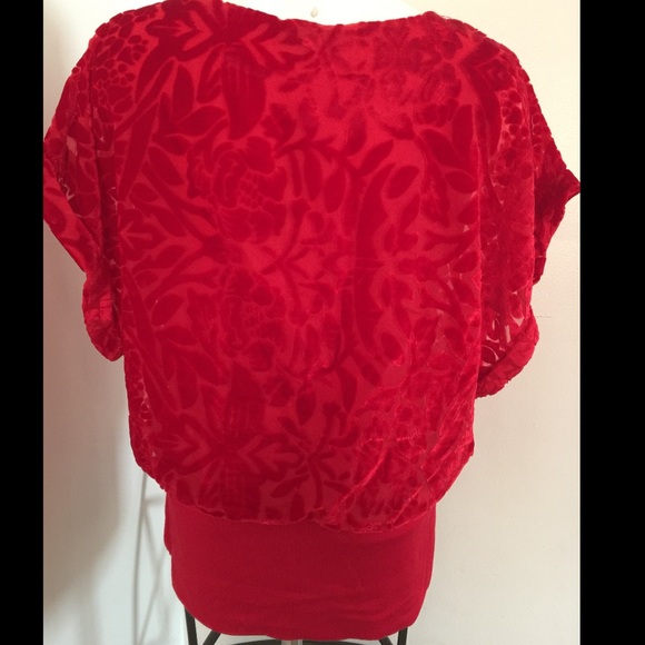 Joseph A Velvet /Silk Top - Picture 2 of 2