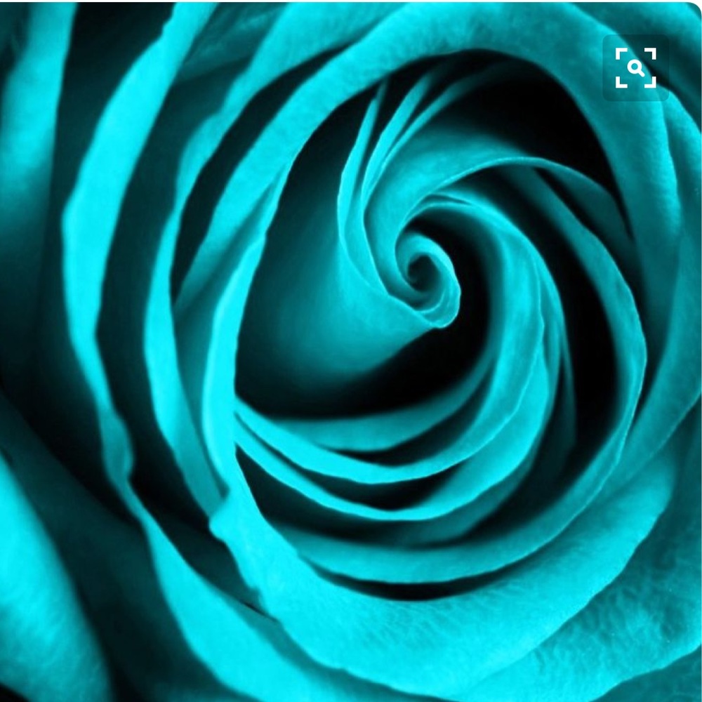 Meet your Posher, Alecia