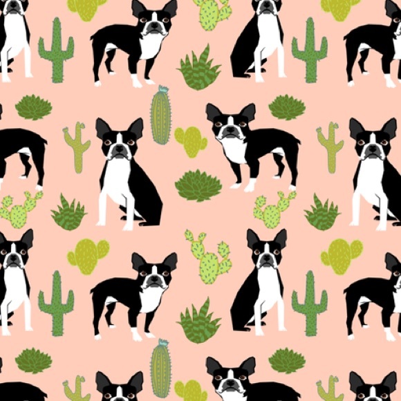 🌵MEET YOUR POSHER🌵 - Picture 3 of 7