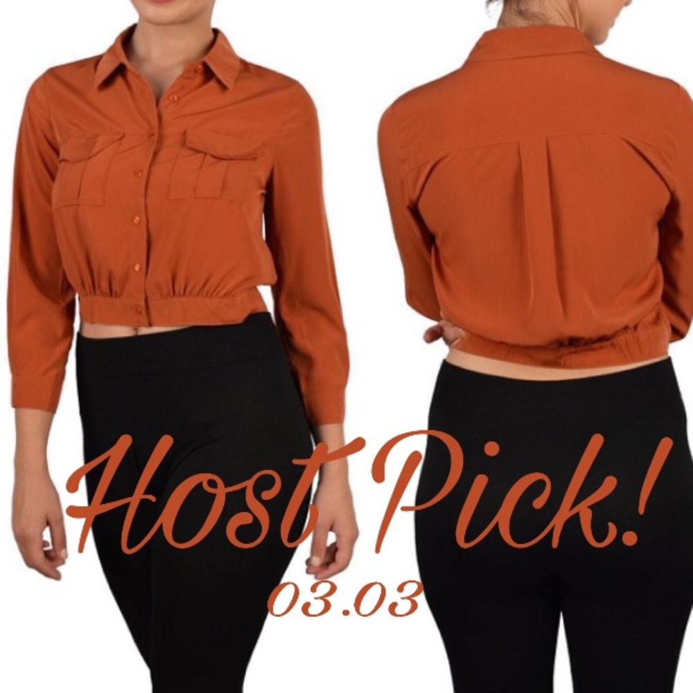 🎉HP🎉🆕Rust Button Down Collar Crop Top