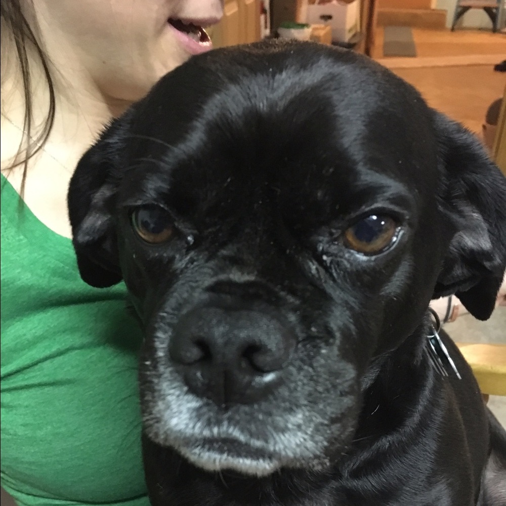 Meet your Posher, Teresa