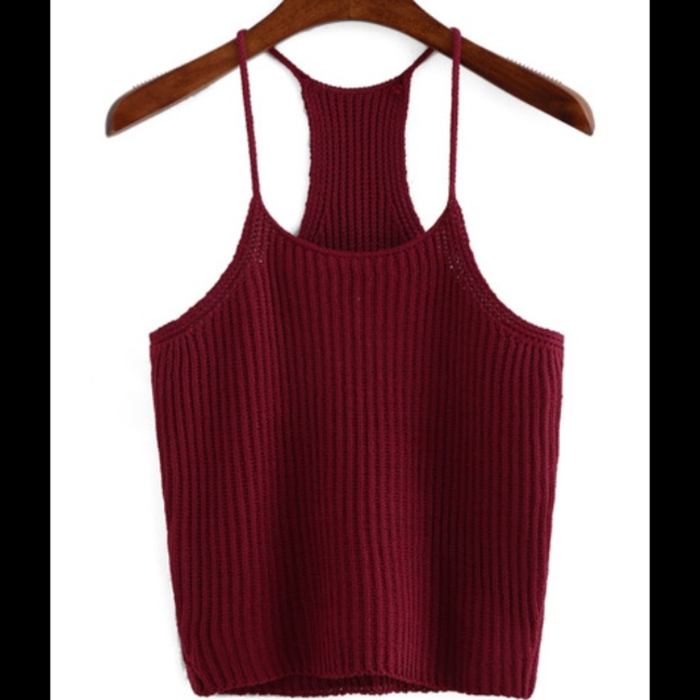 Dark Red Knit Crop Top