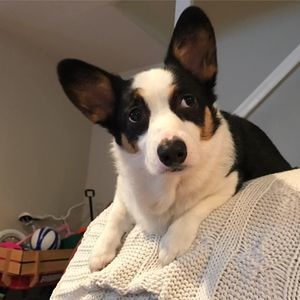 Meet your Posher, Jeanne