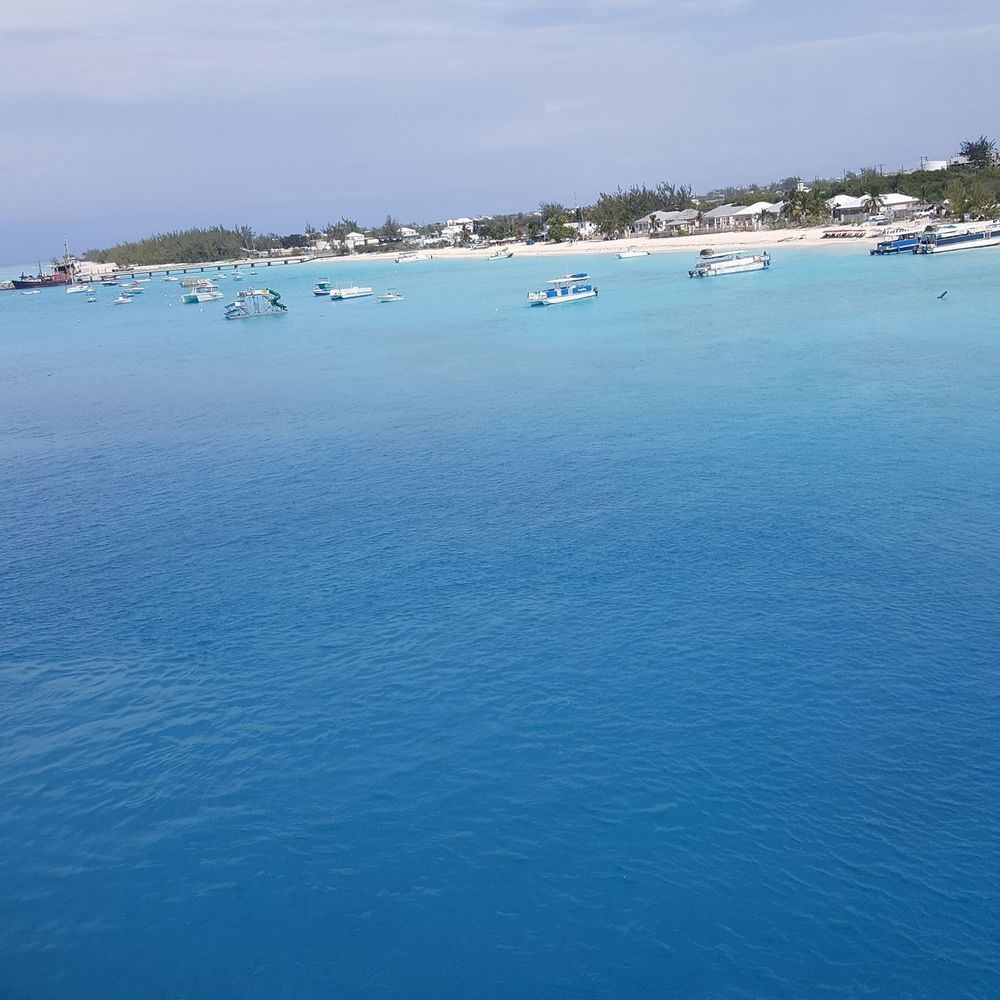 Meet your Posher, Tara