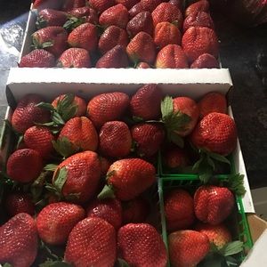 Meet your Posher, Ismael