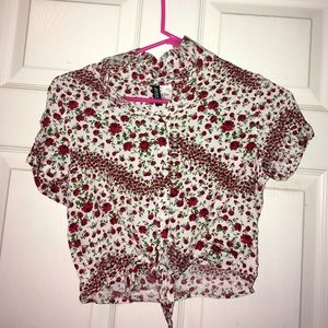 Collared rose crop top