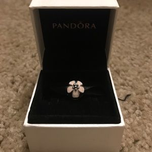 Pandora Clip!