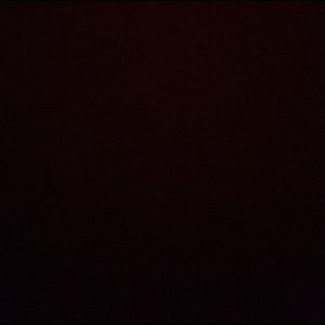 Meet your Posher, Julian