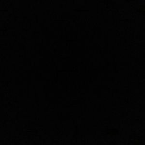 Meet your Posher, Torrell