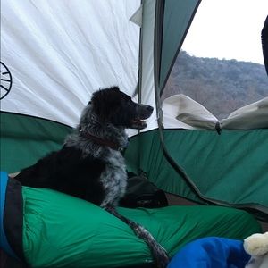 Meet your Posher, Karen