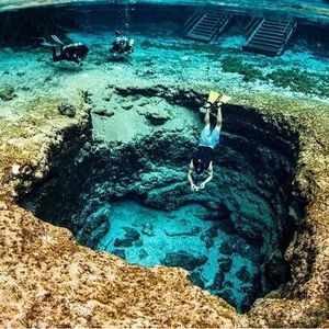 Meet your Posher, Caroline