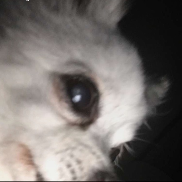 Meet your Posher, Gilberto - Picture 1 of 1