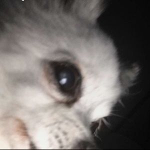 Meet your Posher, Gilberto