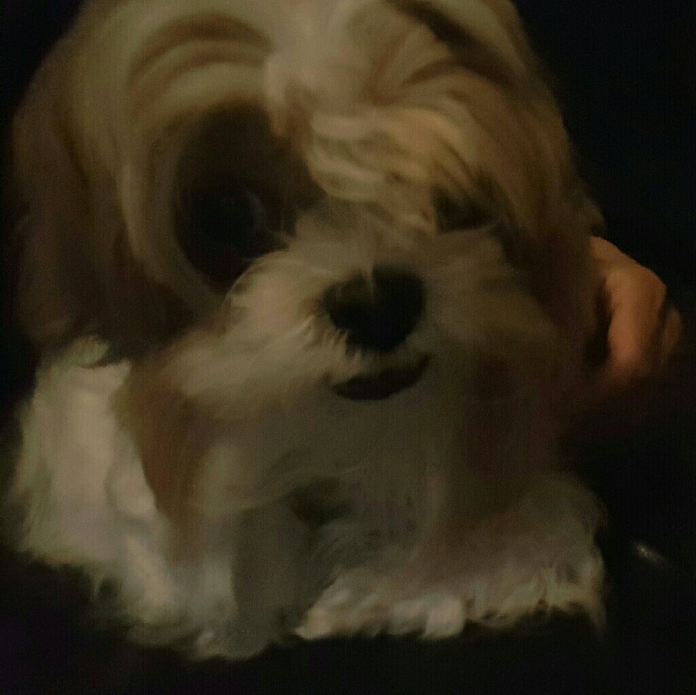 Meet your Posher, Shandi