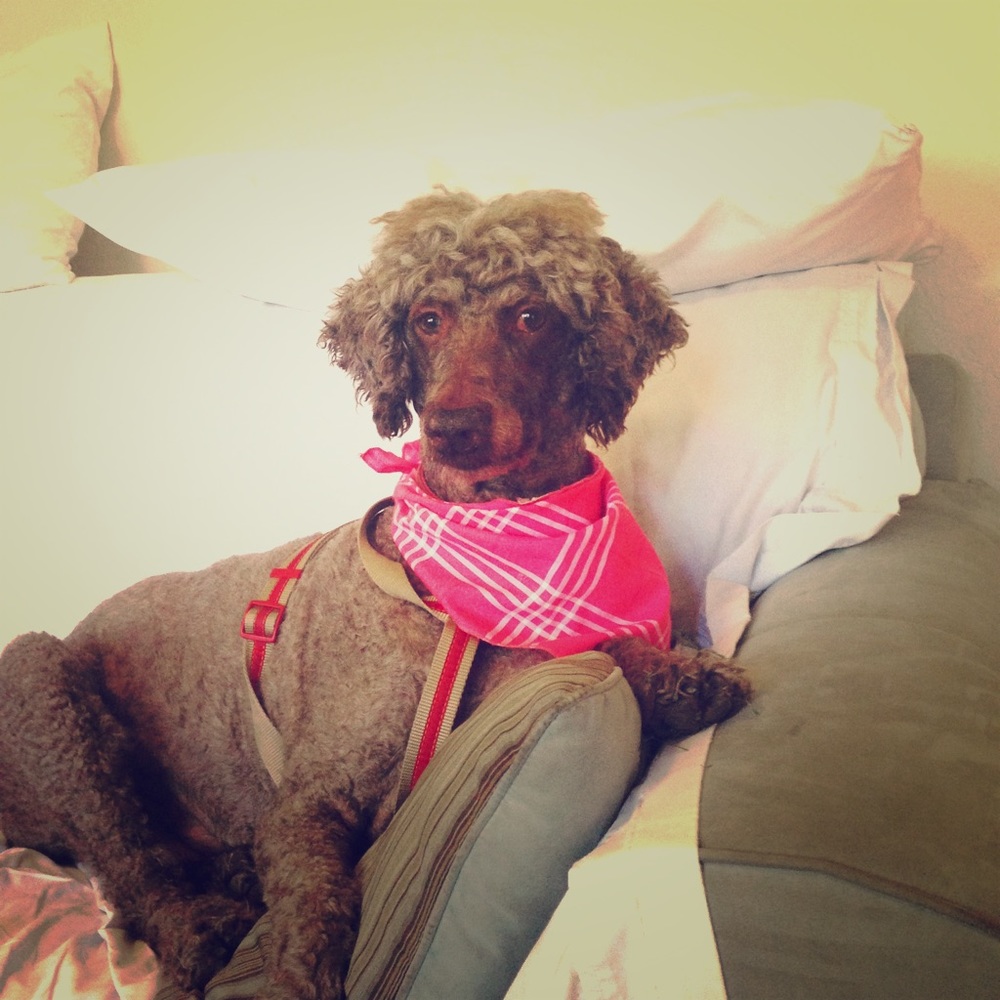 I'm flexible on bundle offers 😋