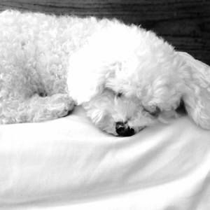 Meet your Posher, Glenna