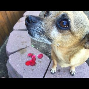 Meet your Posher, Debra