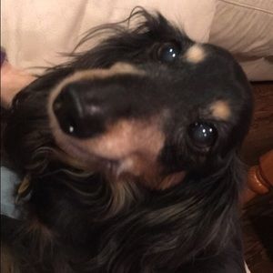 Meet your Posher, Emma