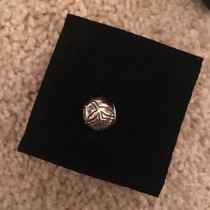 Jungle Themed Pandora Charm