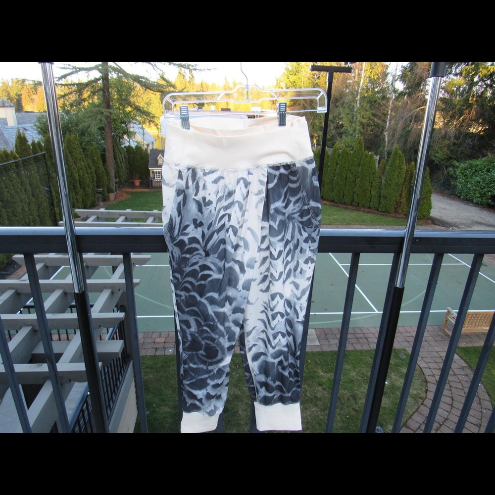 Lulu lemon jogger pants