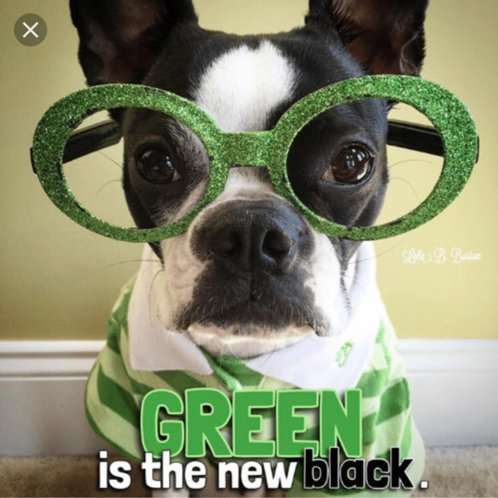 Reduce💚Reuse💚Recycle💚