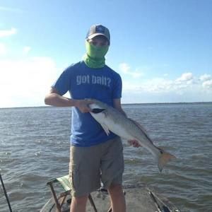 Meet your Posher, Elliott