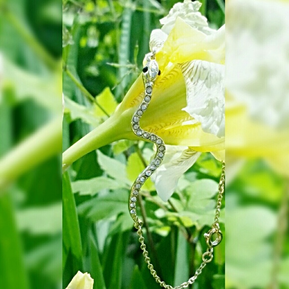 Snake Bracelet - Picture 2 of 4