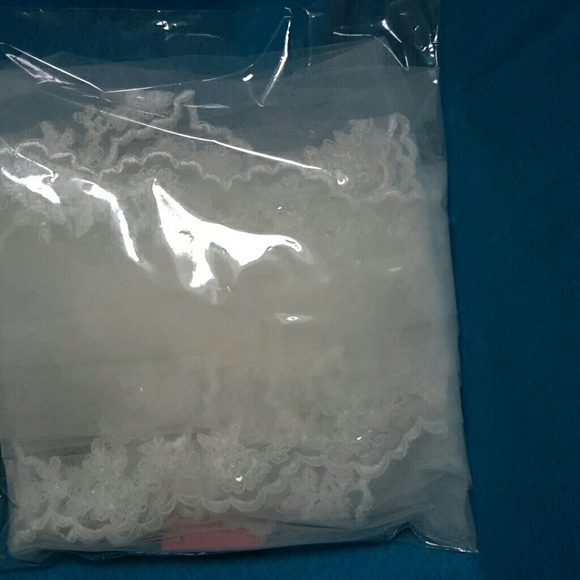 Veil - Picture 4 of 5