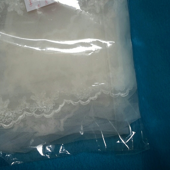 Veil - Picture 5 of 5