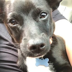 Meet your Posher, Debra