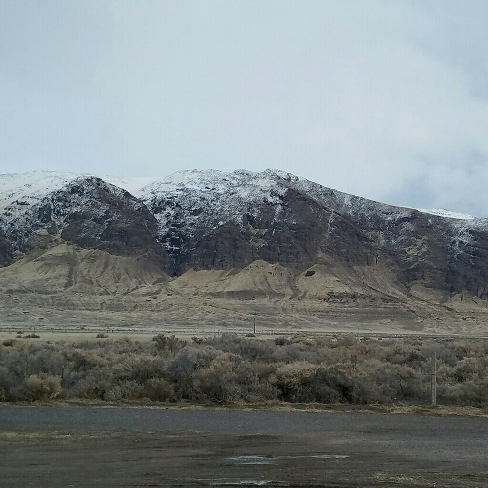 Meet your Posher, Wendy