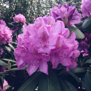 Meet your Posher, Catherine