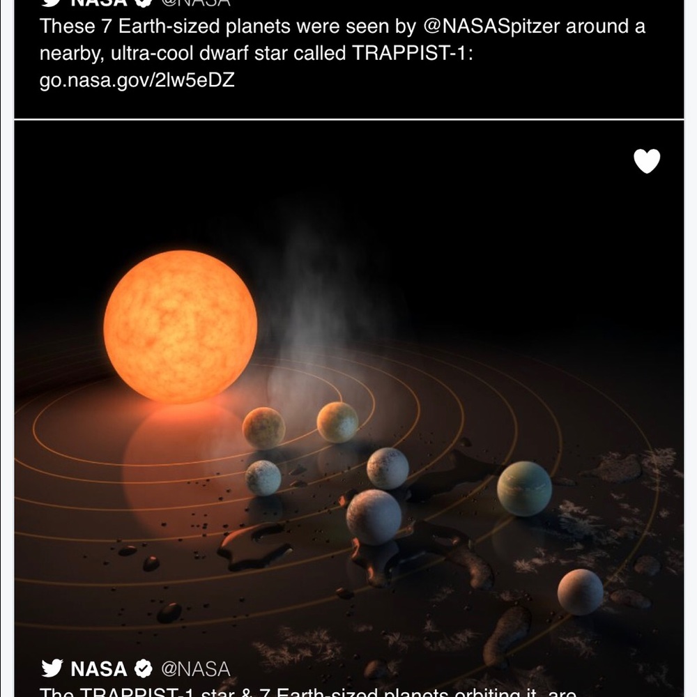 Meet your Posher, Ray