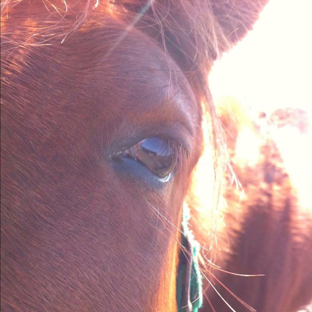 Meet your Posher, Catherine