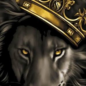 Meet your Posher, Leonard