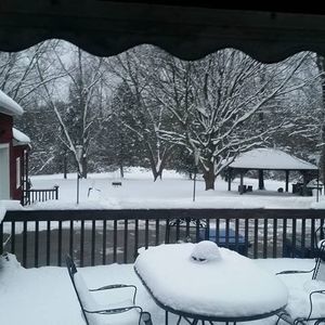 Meet your Posher, Darlene