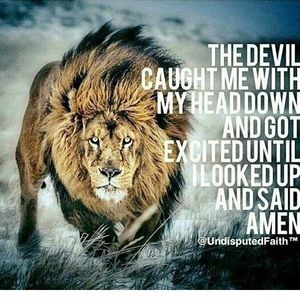 Meet your Posher, George