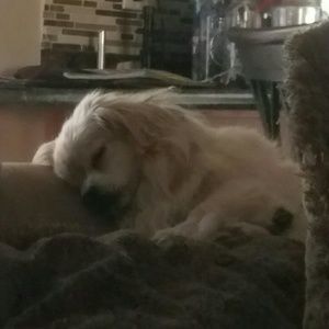 Meet your Posher, Breanne