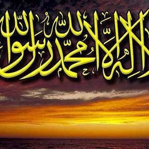 Meet your Posher, Taghreed