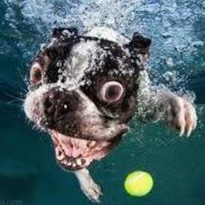 Meet your Posher, Angie