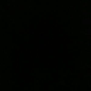 Meet your Posher, Sonny